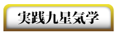 占いソフト実践九星気学VISTA